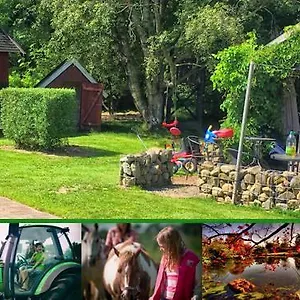 Bauernhof Stutteri Skandihest 